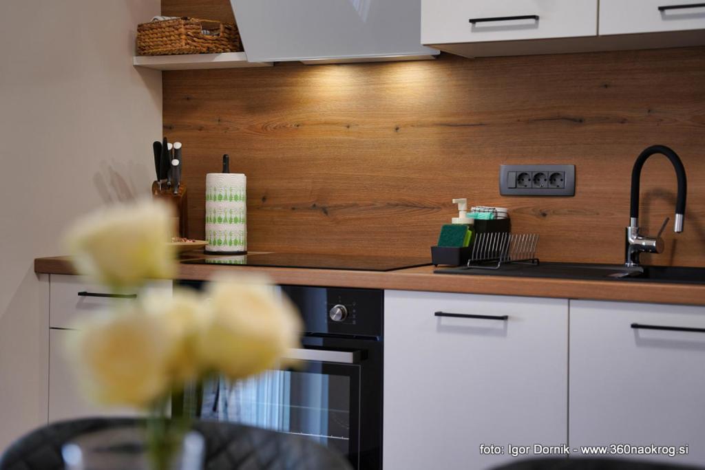 Appartement Sveti Petar Na Moru With Pool And Sea View *